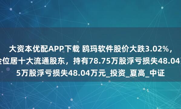 大资本优配APP下载 鸥玛软件股价大跌3.02%，大成基金旗下1只基金位居十大流通股东，持有78.75万股浮亏损失48.04万元_投资_夏高_中证
